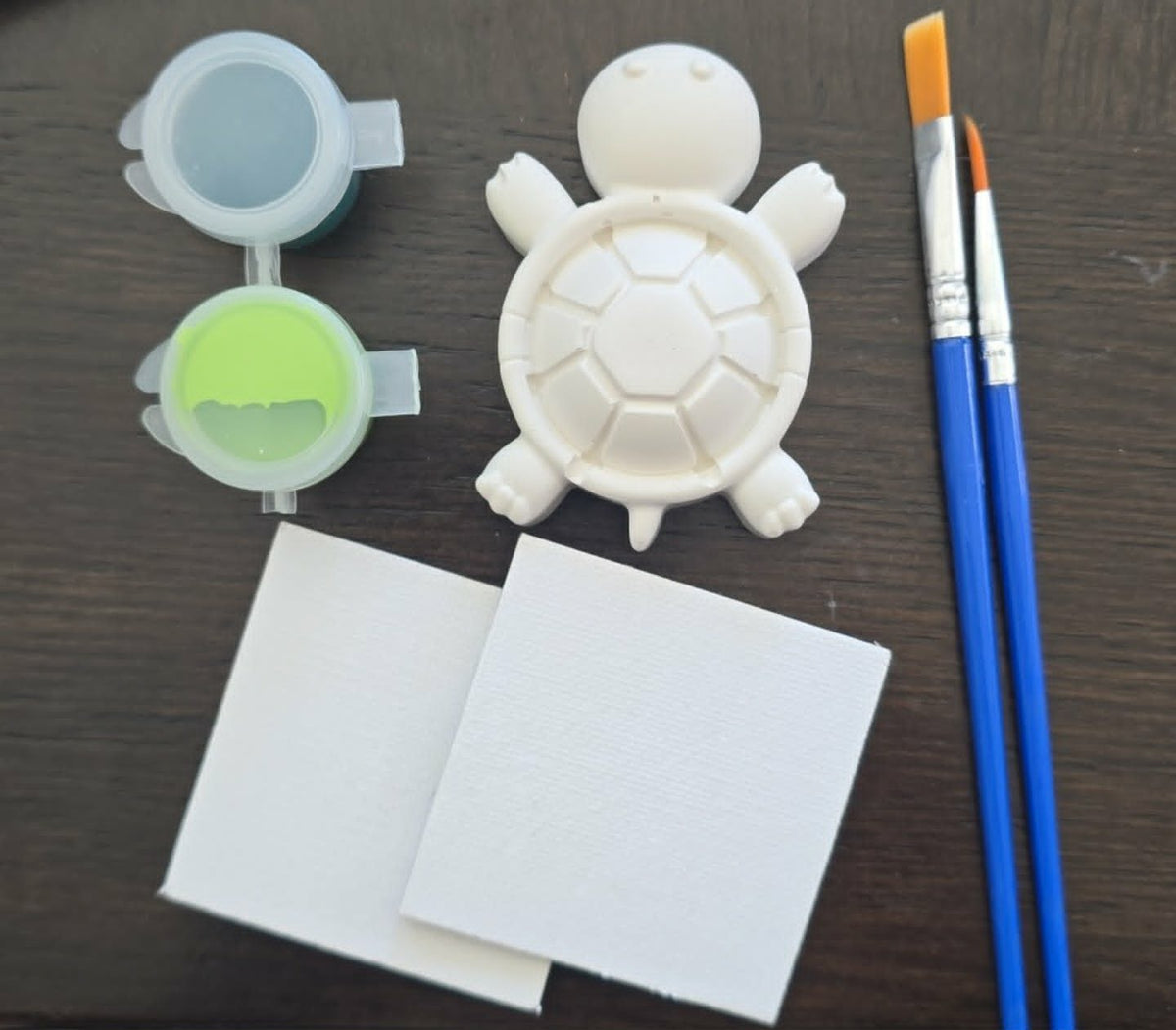 Turtle Paint Kit — Handmade by Young Artists