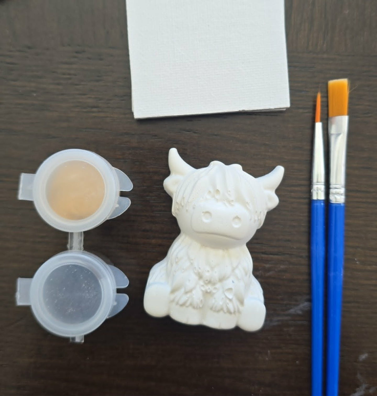 Highland Cow Paint Kit — Handmade by Young Artists